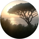 Elisa F profile picture